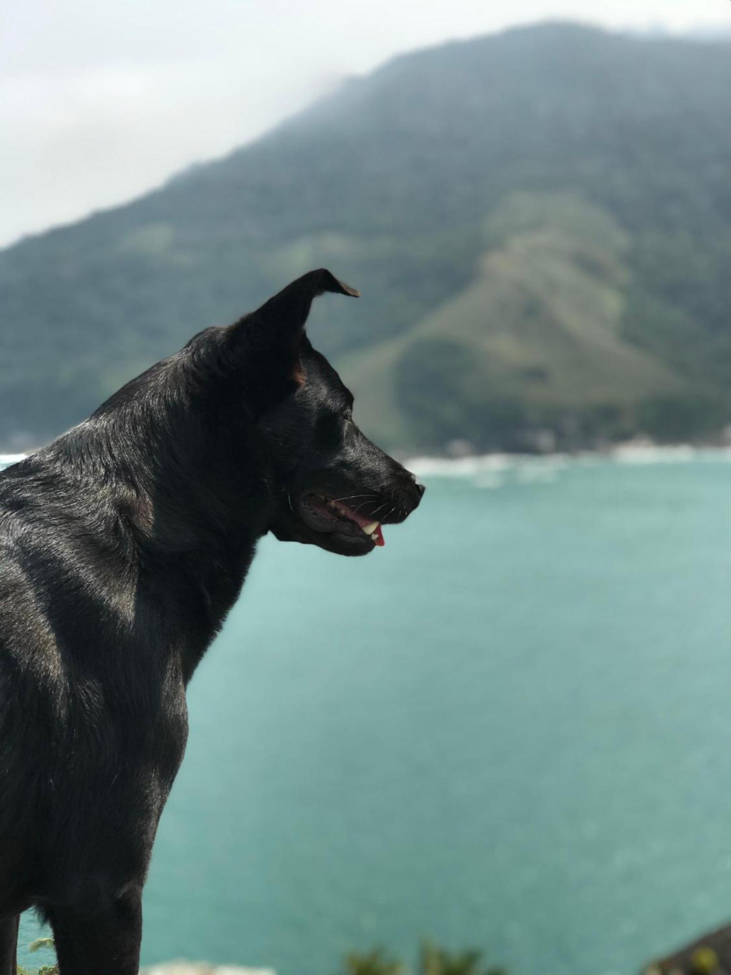 Sambaqui * Ilhabela