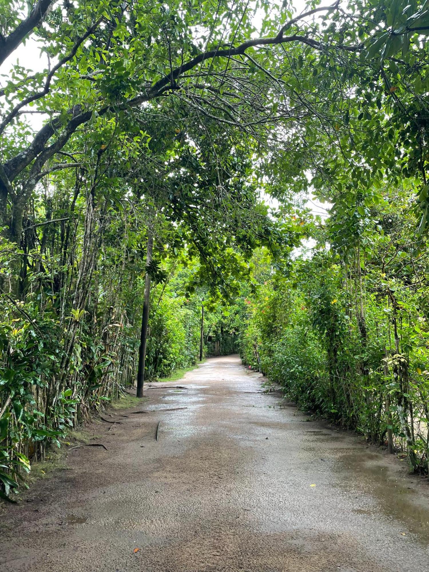Sambaqui Ilhabela